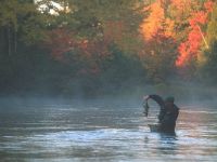 Fly fishing picture