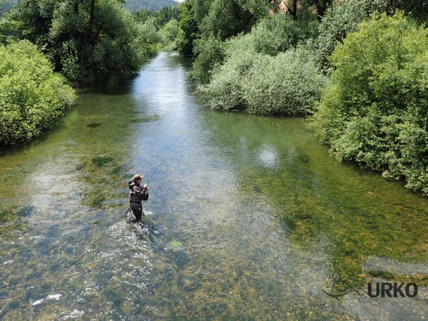 Interesting Fly-fishing Situation of Brown trout - Picture shared by Uros Kristan – Fly dreamers