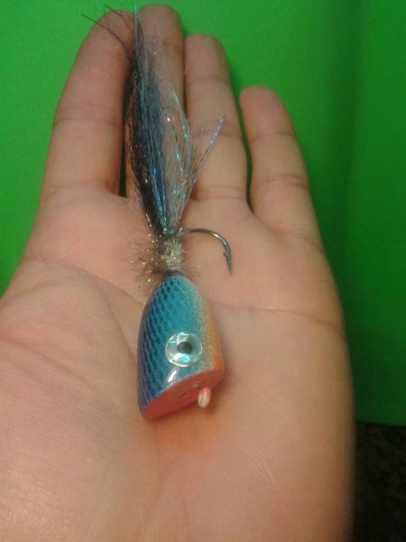 Fly-tying for Barracuda -  Image shared by Carlos Benarducci – Fly dreamers
