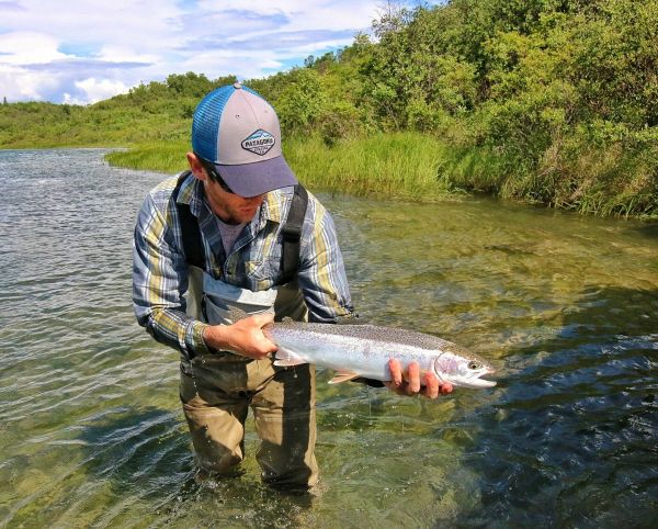 Fly-fishing Photo of Rainbow trout shared by Mikey Wright – Fly dreamers 