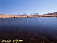 Fly fishing picture