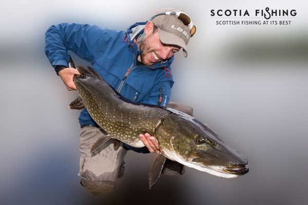 Fly-fishing Photo of Pike shared by Scotia  Fishing  – Fly dreamers 