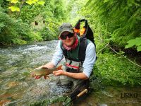 #Andy #nice #grayling #frenchnymph #urkofishingadventures