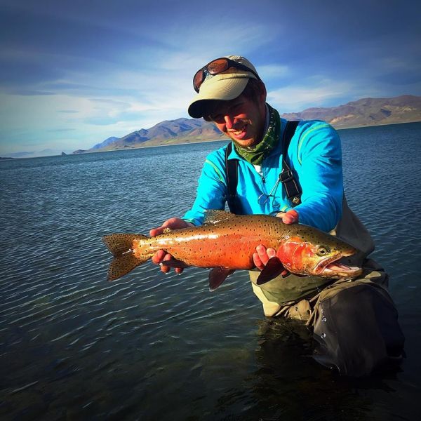 Fly-fishing Picture of Cutthroat shared by Max  Kantor  – Fly dreamers