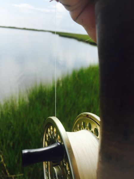 Good Fly-fishing Situation of Redfish - Picture shared by Michael Leishman – Fly dreamers