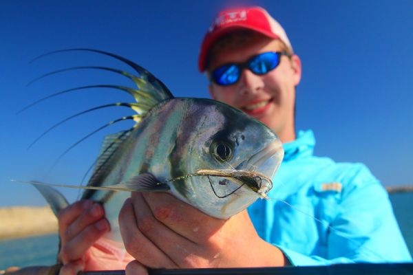 Fly-fishing Pic of Roosterfish shared by Ben Meadows – Fly dreamers 