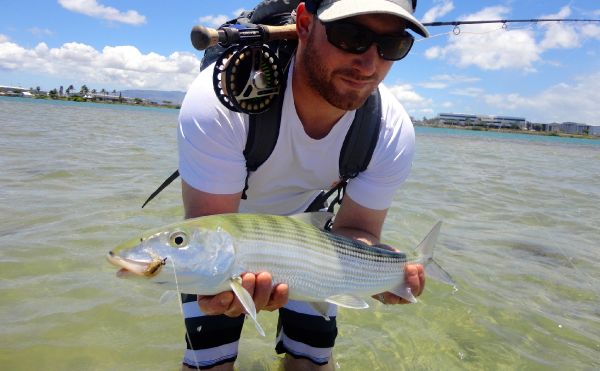 Fly-fishing Pic of Bonefish shared by Andy  Sutherland  – Fly dreamers 