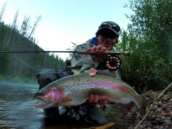 Daniel Macalady 's Fly-fishing Picture of a Rainbow trout – Fly dreamers 