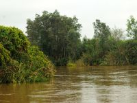 Foto de pesca con mosca