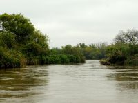 Foto de pesca con mosca