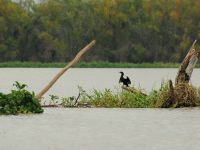 Foto de pesca con mosca