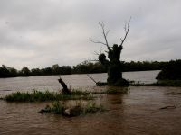 Foto de pesca con mosca