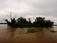 Foto de pesca con mosca