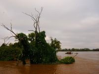 Foto de pesca con mosca