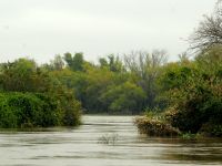 Fly fishing picture