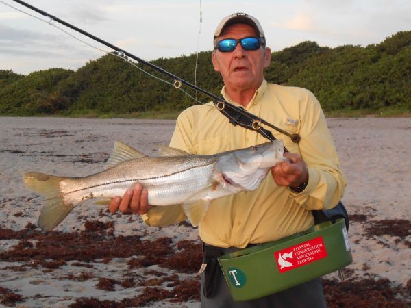 David Bullard 's Fly-fishing Catch of a Snook - Robalo – Fly dreamers 