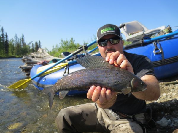 Brad Stitzel 's Fly-fishing Photo of a Grayling – Fly dreamers 