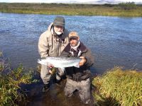 Rainbow Trout from the Lake Iliamna drainage.