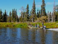 Jet boating a remote Alaskan river