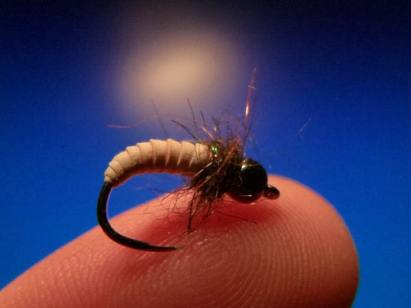 Carlos Estrada 's Fly-tying for Rainbow trout - Image – Fly dreamers 