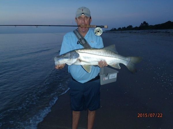 Fly-fishing Image of Snook - Robalo shared by David Bullard – Fly dreamers