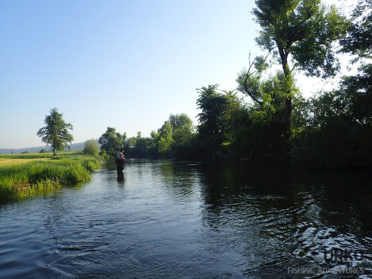 Dry fly section on the river Unica