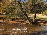 This part of the river was just in the middle of a town and in a public park but we still manage to catch a few trout. Impressive how Australian care about this river.