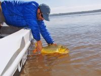 Foto de pesca con mosca