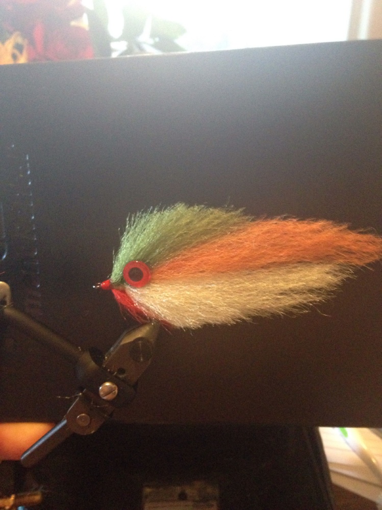 Another baitfish for trip
Any suggestions on colors would be appreciated