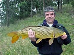 British mate Bill with a sight casted carp - Bill more used to paying big money in England to fly fish a ex-brick pit or private lake filled with stocked fish
