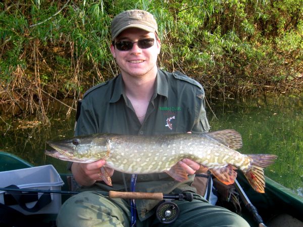Marko Barišić 's Fly-fishing Pic of a Pike – Fly dreamers 