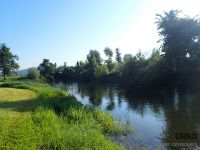 Unica River - dry fly only sector