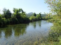 Unica River - dry fly only sector