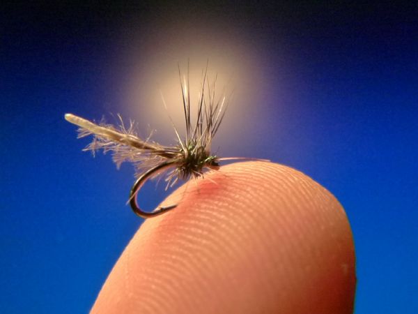 Fly for Rainbow trout - Pic by Carlos Estrada – Fly dreamers 