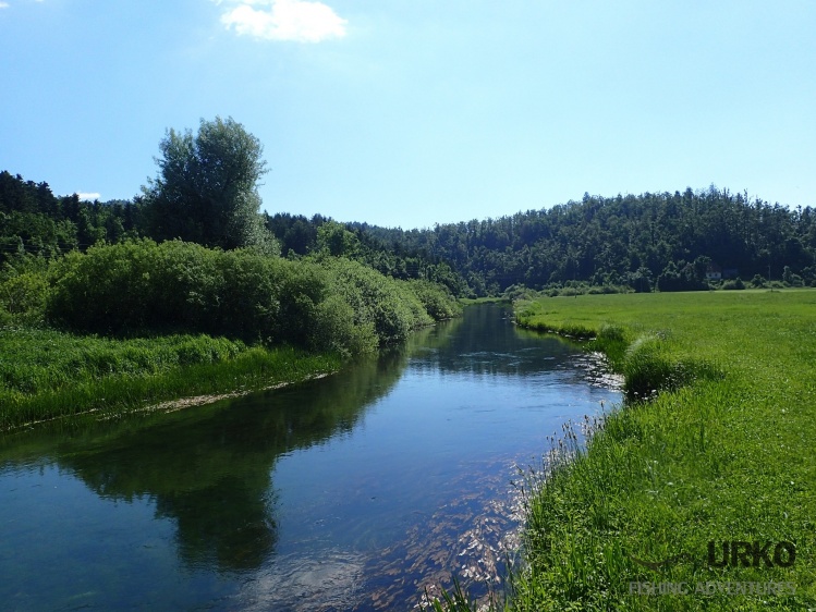 Chalk stream of Malenščica