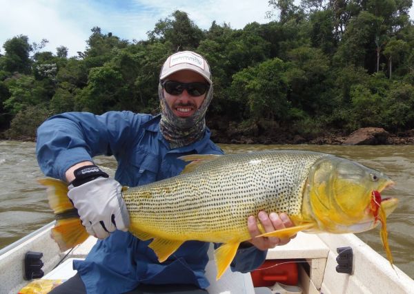 Fly-fishing Situation of Golden Dorado shared by Chip Drozenski 