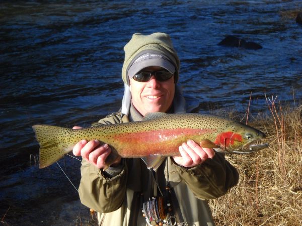Fly-fishing Picture of Steelhead shared by Chris Andersen – Fly dreamers