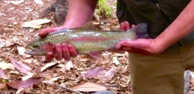 Nice rainbow from the manitou River in Colorado springs