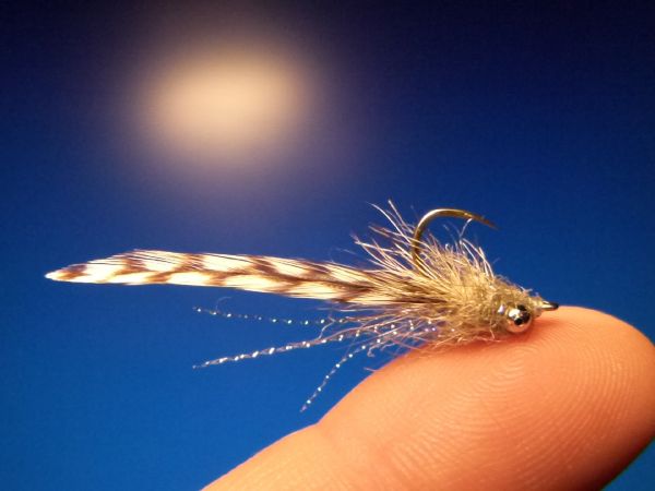 Carlos Estrada 's Fly-tying for Rainbow trout - Pic – Fly dreamers 