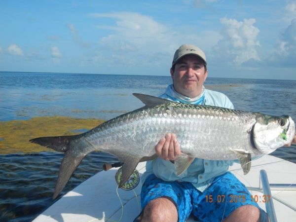 Fly-fishing Image of Tarpon shared by Guillermo Hermoso – Fly dreamers