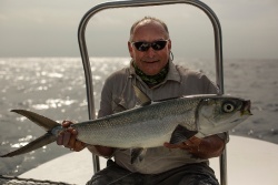 Alphonse Island Fishing News: 28 Feb – 7 Mar 15 _ Milkfish Mania!    