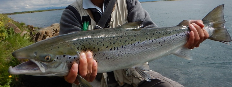 West Ranga - <a href="http://anglers.is/index.php/salmon-rivers/west-ranga-river">http://anglers.is/index.php/salmon-rivers/west-ranga-river</a>