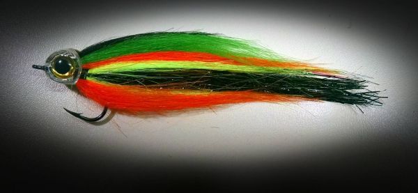 Fly for Peacock Bass - Photo shared by Horacio Fernandez – Fly dreamers 