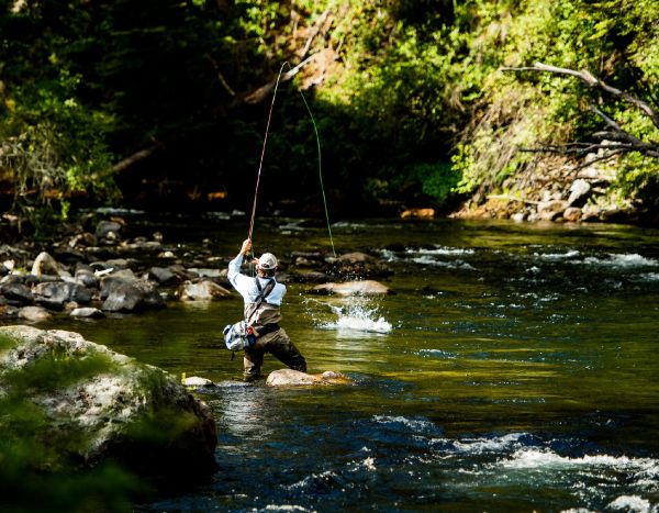 Andes Drifters 's Good Fly-fishing Situation Pic – Fly dreamers 