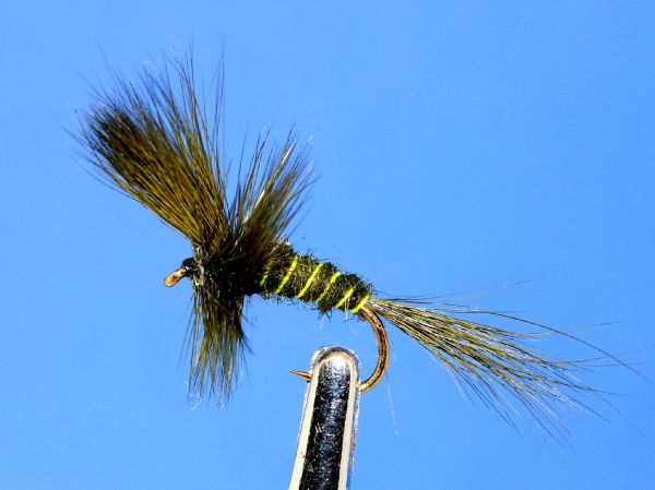 Fly for Brown trout - Pic shared by Lawrence Finney – Fly dreamers 