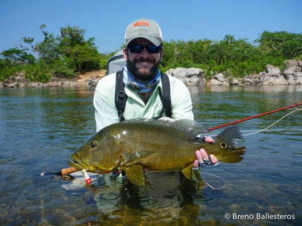 Breno Ballesteros 's Fly-fishing Catch of a Peacock Bass – Fly dreamers 