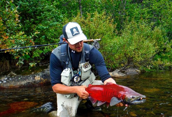 Luke Metherell 's Fly-fishing Picture of a King salmon – Fly dreamers 