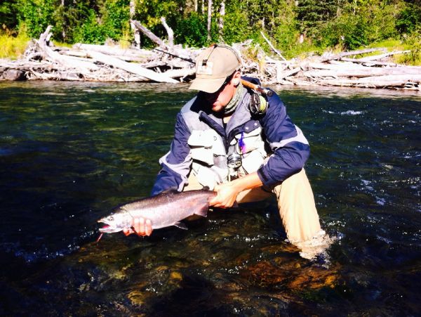 Luke Metherell 's Fly-fishing Catch of a Silver salmon – Fly dreamers 