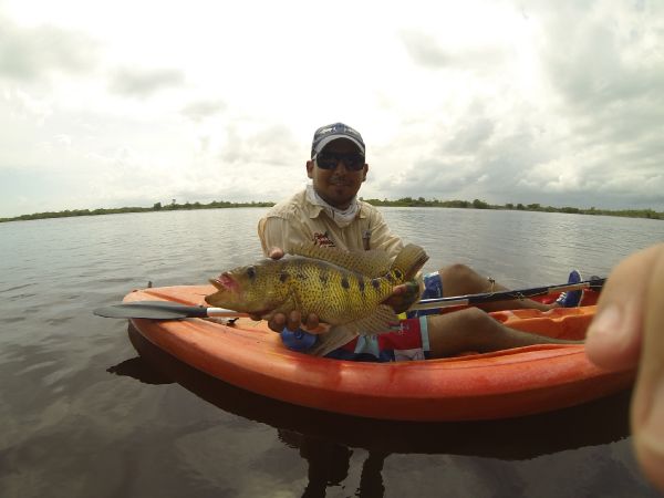 Jose Miguel Lopez Herrera 's Fly-fishing Picture of a Tarpon – Fly dreamers 