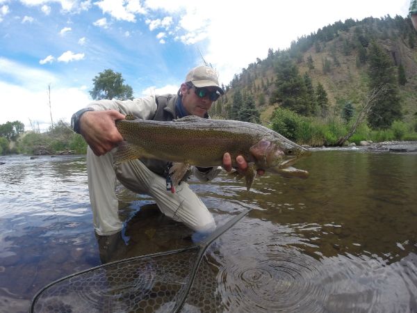 Paul MacDonald 's Fly-fishing Catch of a Rainbow trout – Fly dreamers 